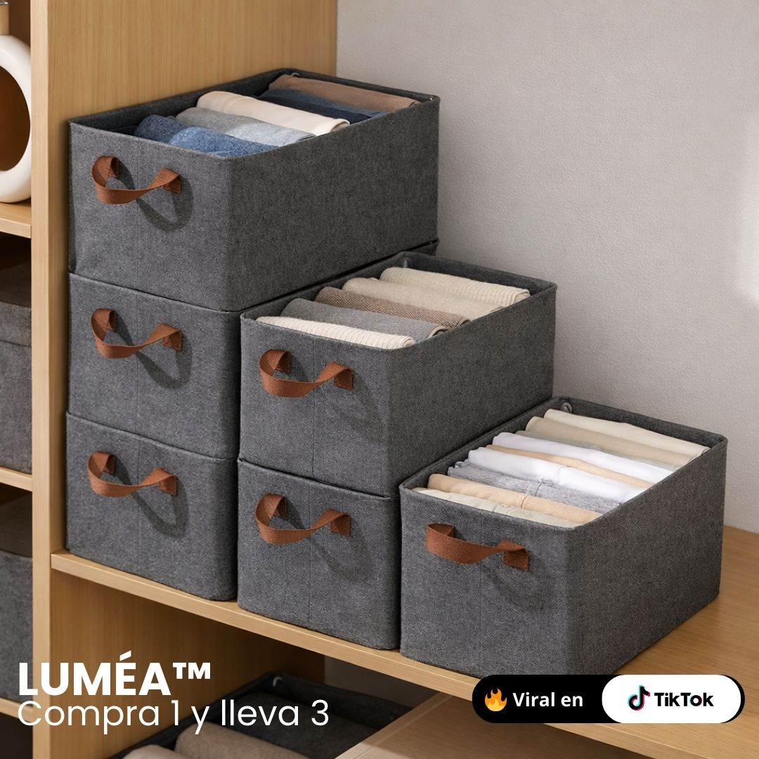 Organizadores de Ropa Plegables (Compra 1 y lleva 3)